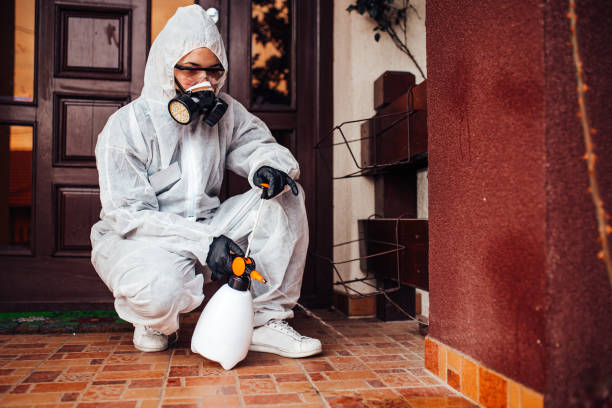 Reliable Mosquito Control contractor in Guadalupe, AZ by Show Me Pest Control